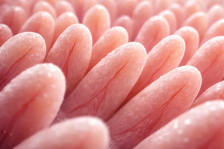 How AI in Gastroenterology Is Revolutionizing Digestive Health: Early Detection, Precision Treatment & Smarter Workflows